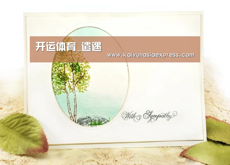 开运体育_遣遇(图2) 开运竞猜
