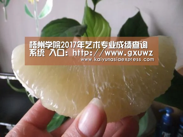 梧州学院2017年艺术专业成绩查询系统 入口：http://www.gxuwz.